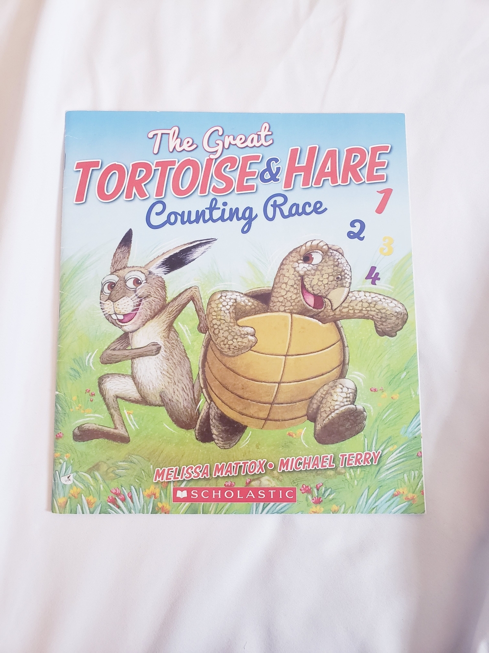 The Great Tortoise & Hare Counting Race Book